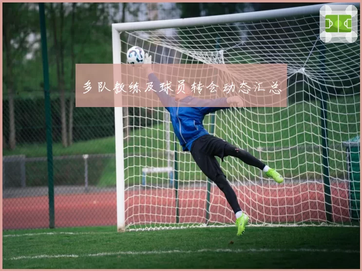 多队教练及球员转会动态汇总