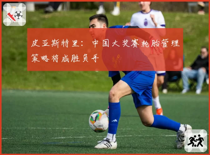 皮亚斯特里：中国大奖赛轮胎管理策略将成胜负手