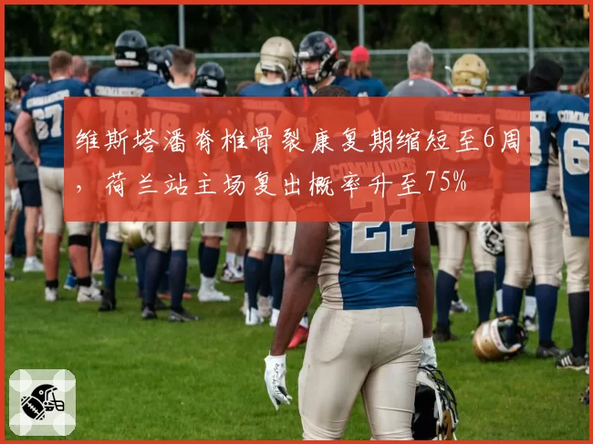 维斯塔潘脊椎骨裂康复期缩短至6周，荷兰站主场复出概率升至75%